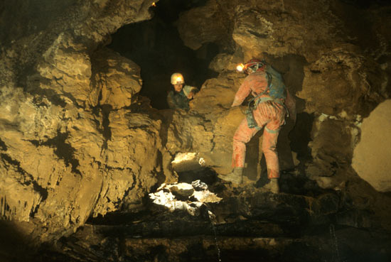 Cueva Del Lobo